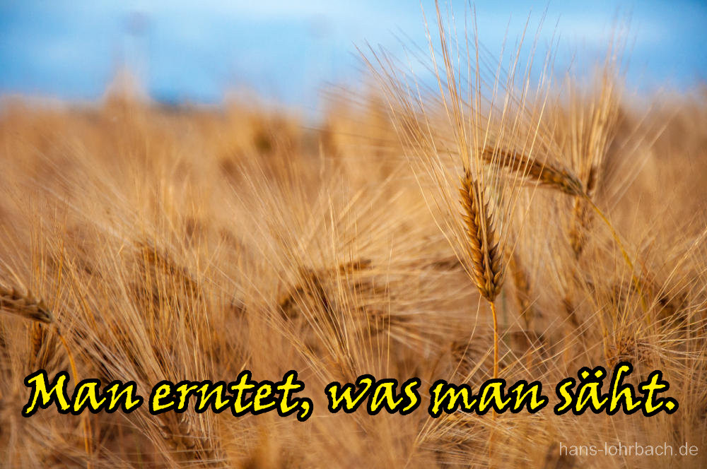Bild und Text