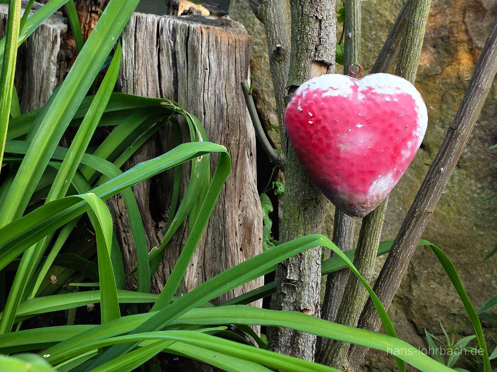 Herz im Garten