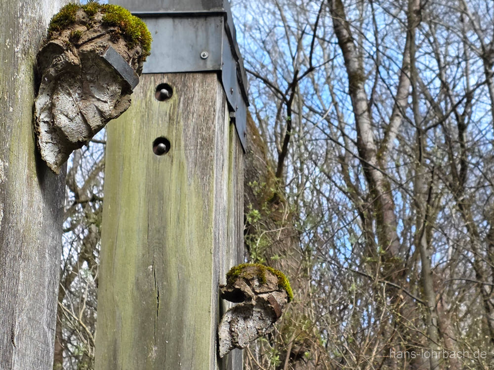 Nekropolis bei Kassel