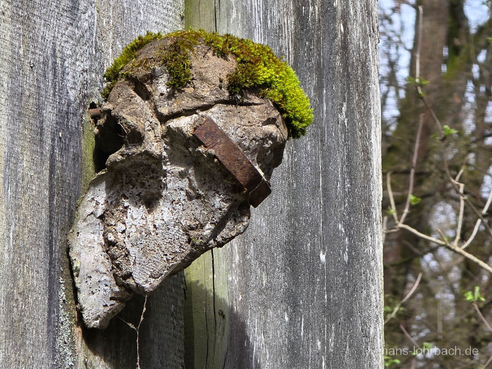 Nekropolis bei Kassel