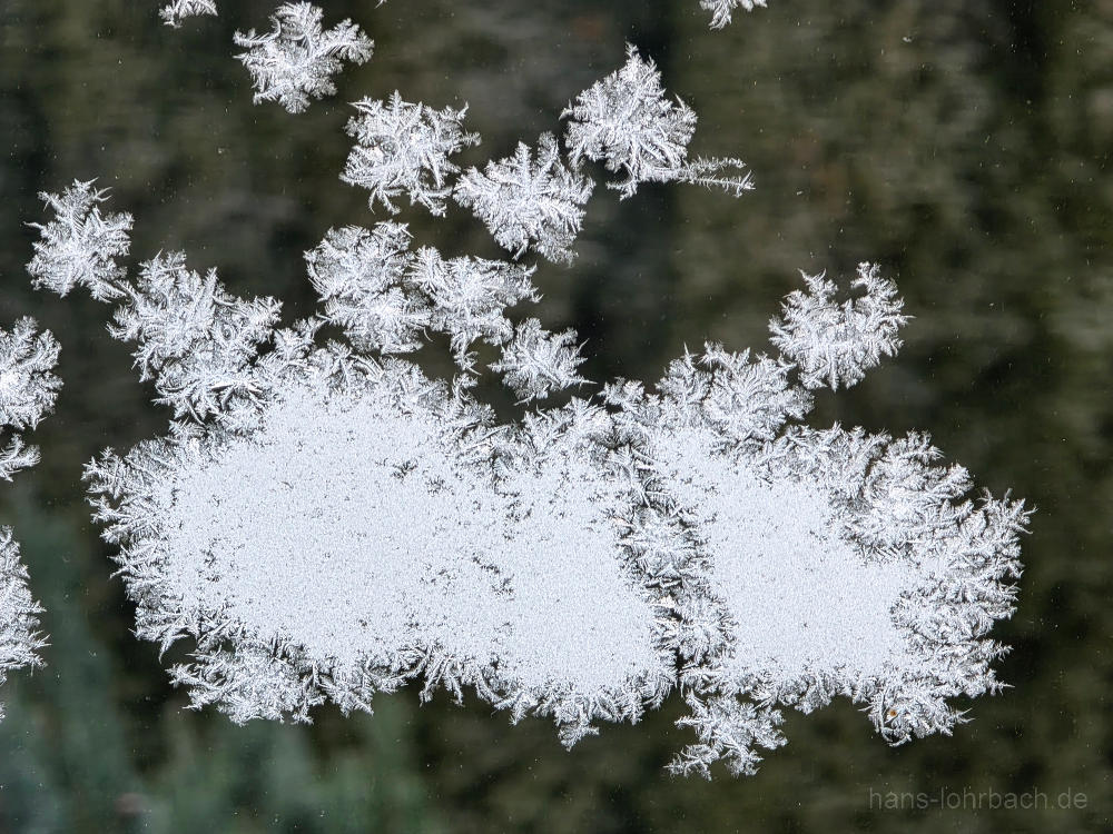 Eisblumen am Fenster