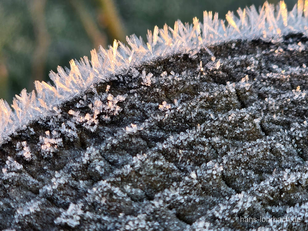 Frost auf Zaunpfahl